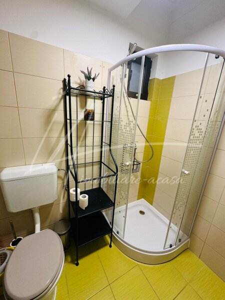 Decebal, str. Delea Noua 24, mutare imediata